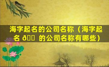 海字起名的公司名称（海字起名 🐠 的公司名称有哪些）